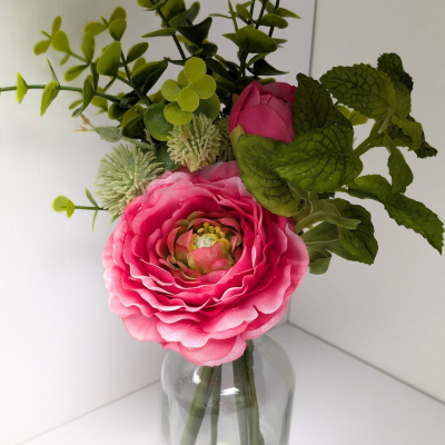 Manitoba Therapy services