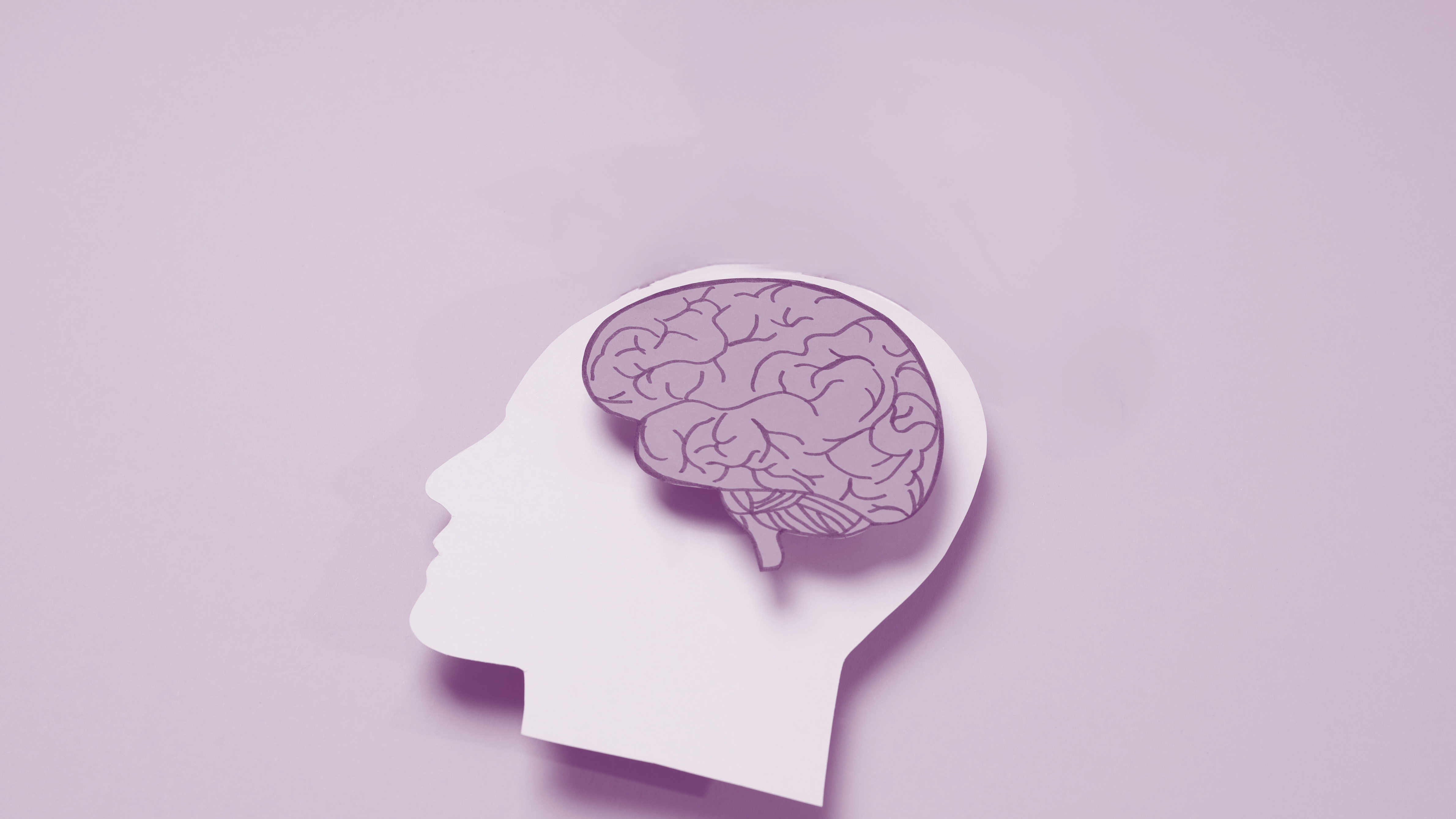 Trauma counselling help Winnipeg Therapists