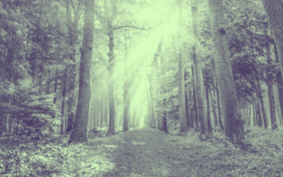 Understanding EMDR Therapy: The Science Behind the Healing